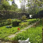 Apartament Desa