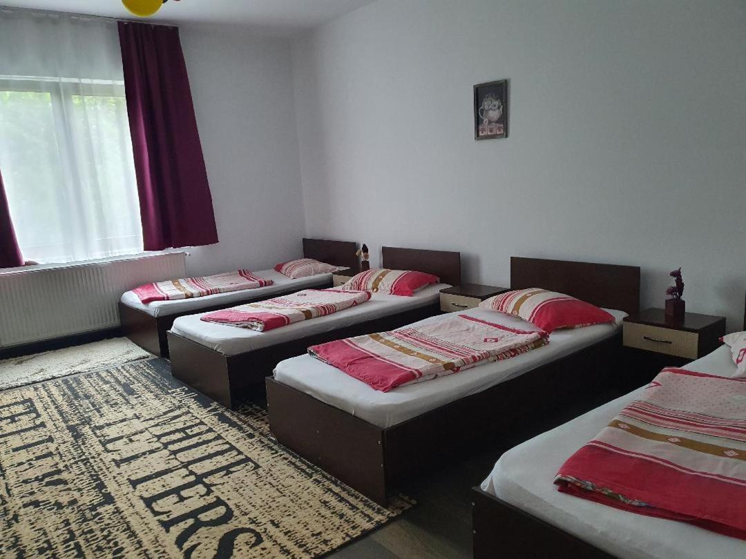 Apartament Apartament Desa Cluj-Napoca