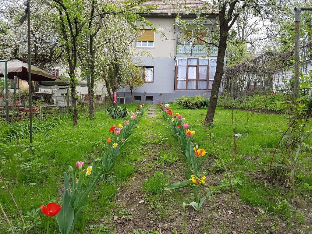 Apartament Desa * Cluj-Napoca